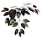 4ft. Artificial Capensia Bush with Rattan Basket